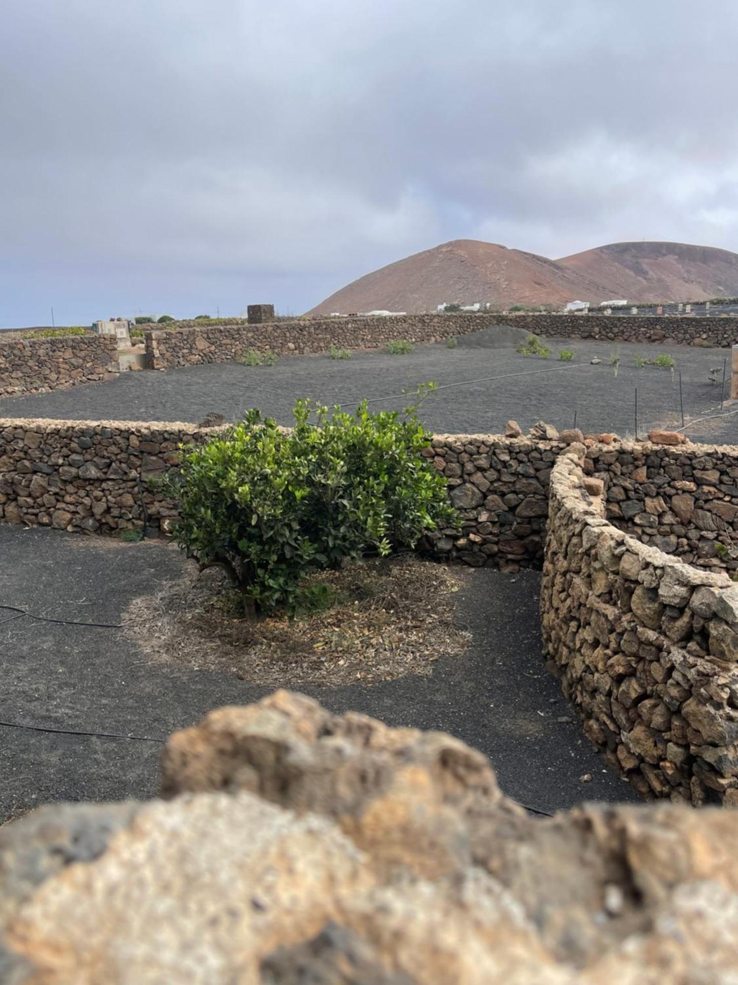 Villa Timanfaya Tinajo Bagian luar foto