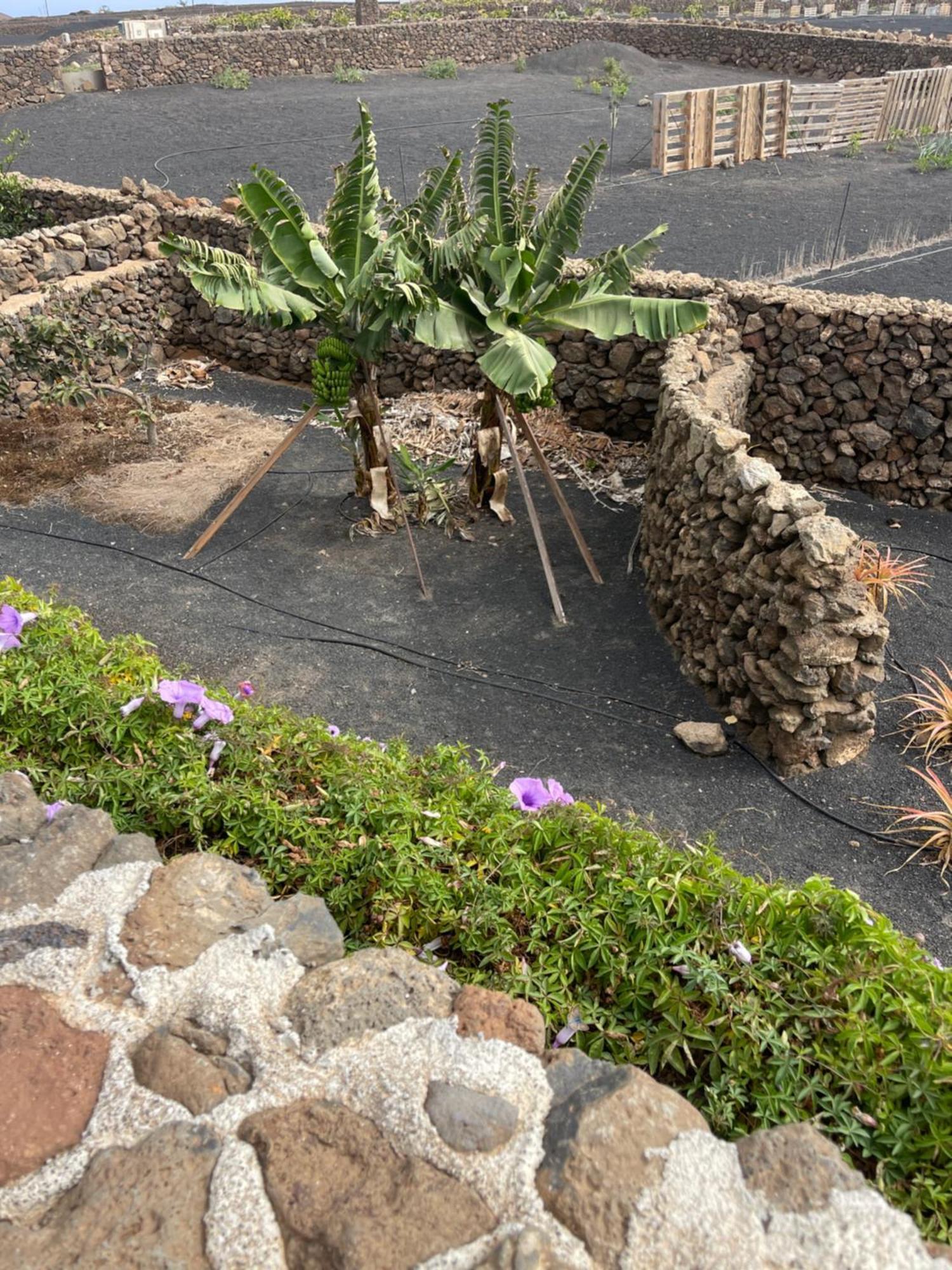 Villa Timanfaya Tinajo Bagian luar foto