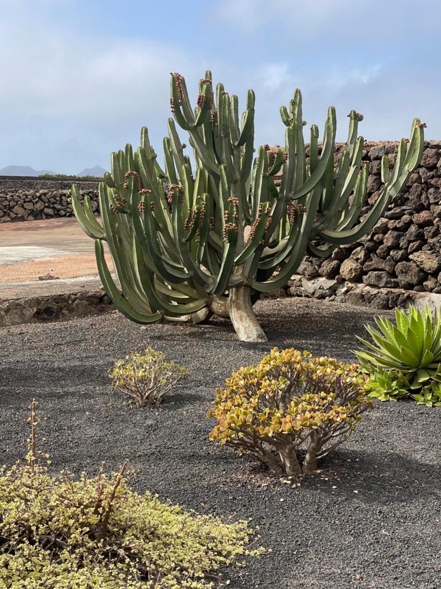 Villa Timanfaya Tinajo Bagian luar foto
