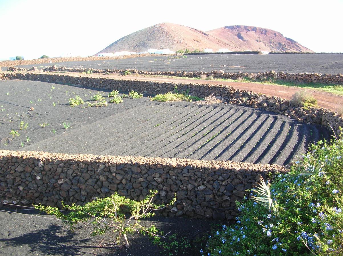Villa Timanfaya Tinajo Bagian luar foto